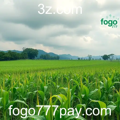 A Ascensão do Fogo777 no Mundo dos Jogos Online